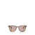 MIU MIU EYEWEAR Miu Miu Eyewear Sunglasses HONEY HAVANA