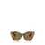 MIU MIU EYEWEAR Miu Miu Eyewear Sunglasses HAVANA HONEY