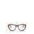 Persol Persol Eyeglasses CAFFE