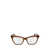 Calvin Klein Calvin Klein Eyeglasses BROWN / AZURE