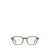 Paul Smith Paul Smith Eyeglasses TRANSPARENT OLIVE
