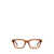 ZEGNA Zegna Eyeglasses SHINY DARK BROWN
