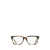 Nike Nike Eyeglasses KHAKI TORTOISE / CARGO