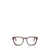 Persol Persol Eyeglasses Brown