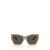 Versace Versace Eyewear Sunglasses SOLID CAMEL