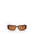 Prada Prada Eyewear Sunglasses DARK BROWN TRANSPARENT