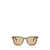 MIU MIU EYEWEAR Miu Miu Eyewear Sunglasses STRIPED TOBACCO