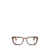 Persol Persol Eyeglasses TORTOISE BROWN & PEARL BROWN