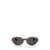 Persol Persol Sunglasses Brown