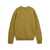 Carhartt "Alten" crewneck sweater Green