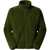 The North Face Pile Sweatshirt. GREEN