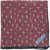 CORNELIANI Floral Patterned Linen Pocket Square Red