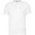 Dondup T-shirt with logo writing White