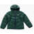 Converse All Star Chuck Taylor Solid Color Padded Jacket Green