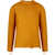 PT TORINO Sweater Yellow