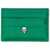 Alexander McQueen Card Holder With Skull GREEN