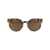 MYKITA Mykita Sunglasses 239 Gold Black Python Terra Flash