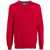 Ralph Lauren POLO RALPH LAUREN LONG SLEEVE CREW NECK PULLOVER CLOTHING Red