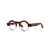 THEO EYEWEAR Theo Eyewear Eyeglasses TORTOISE, TRANSPARENT