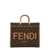 Fendi Fendi Sunshine Medium Tote BROWN