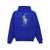 Ralph Lauren Polo Ralph Lauren Logo Hoodie BLUE