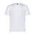 BRIONI Brioni T-Shirt WHITE