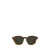 Oliver Peoples OLIVER PEOPLES Sunglasses BARK