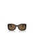 Prada Prada Eyewear Sunglasses BRIAR TORTOISE