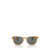 Oliver Peoples Oliver Peoples Sunglasses AMBER