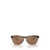 Oakley OAKLEY Sunglasses BROWN TORTOISE / BROWN SMOKE