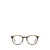 BARTON PERREIRA Barton Perreira Eyeglasses SUT