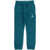 Nike Air Jordan Fleeced Cotton Joggers With Embroidered Logo Green
