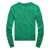 Ralph Lauren Polo Ralph Lauren Sweaters PREPPY GREEN