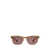 GARRETT LEIGHT Garrett Leight Sunglasses PALISADE TORTOISE/LILAC