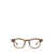 GARRETT LEIGHT Garrett Leight Eyeglasses TRUE DEMI