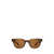 GARRETT LEIGHT Garrett Leight Sunglasses SADDLE TORTOISE