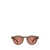MR. LEIGHT MR. LEIGHT Sunglasses CITRINE-CHOCOLATE GOLD/ORCHID