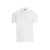 Zanone Ice cotton polo shirt White