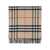 Burberry BURBERRY Reversible check scarf BLACK