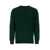 Ralph Lauren POLO RALPH LAUREN Crew-neck wool sweater GREEN