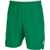Joma Toledo II Shorts Green