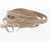 Dior Solid Color Jute Belt With Silver-Tone Buckle 15Mm Beige