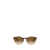 Persol PERSOL Sunglasses GRADIENT BROWN TORTOISE