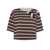 MSGM Msgm Cotton T-Shirt With Striped Print And Floral Appliques BROWN