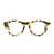 TOFFOLI COSTANTINO Toffoli Costantino  T047 Eyeglasses 228 HAVANA