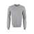 THE (ALPHABET) The (Alphabet) The (Knit) - Crew-Neck Wool Sweater GREY