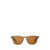 GARRETT LEIGHT Garrett Leight Sunglasses MATTE OLIO