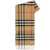 Burberry Burberry Scarves Accessories 