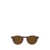 Oliver Peoples Oliver Peoples Sunglasses AMARETTO / STRIPED HONEY