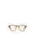 Oliver Peoples Oliver Peoples Eyeglasses RAINTREE (RT)